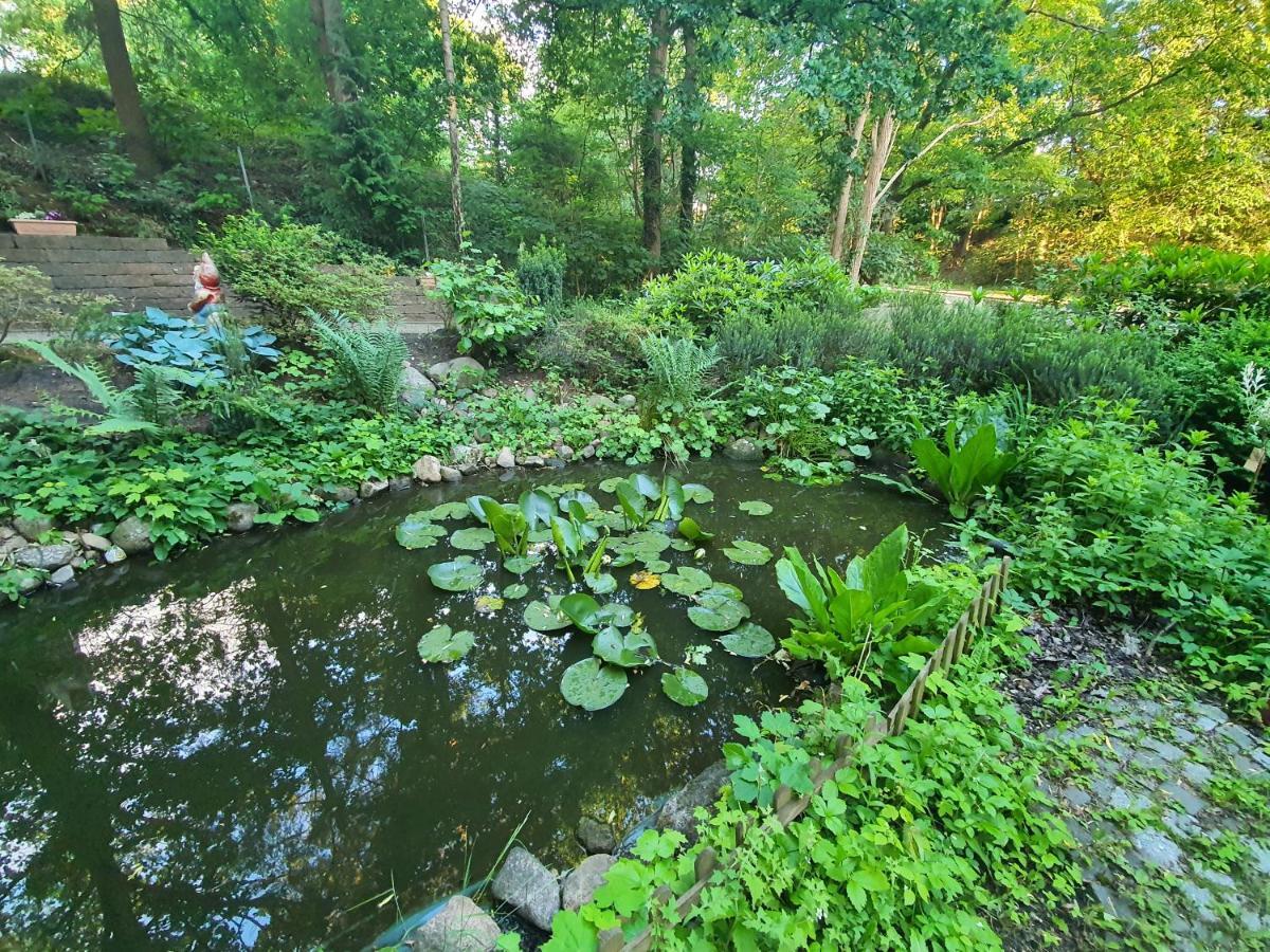 Apartment Bei Hamburg Bis 10 Personen Mit Terasse Und Gartennutzung. Buchholz in der Nordheide Esterno foto